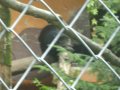IMGP0857.JPG